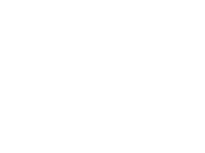 ala karting logo transparent